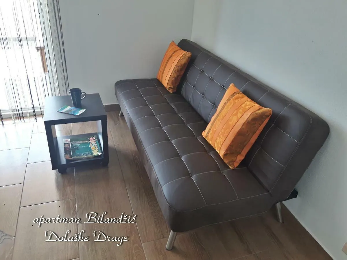 Apartman Bilandzic Drage