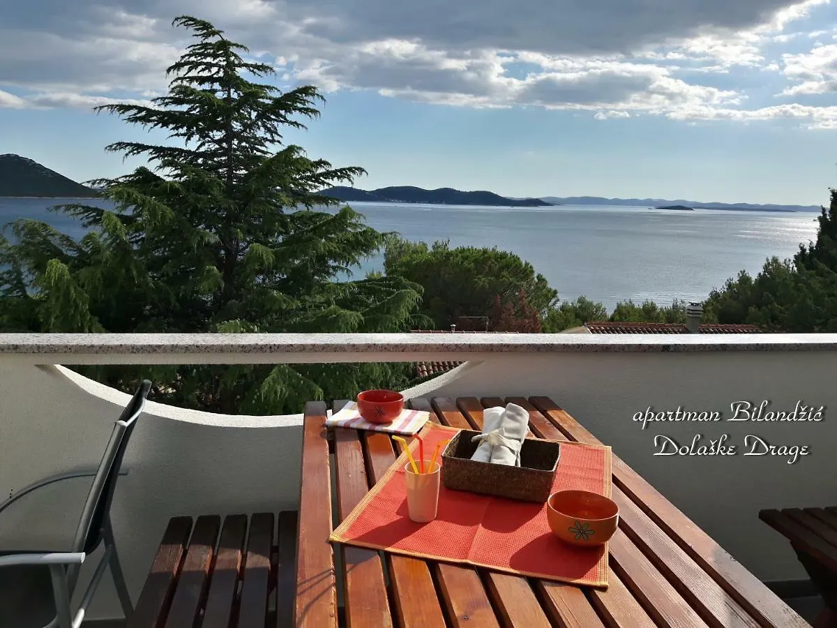 Apartment Apartman Bilandzic Drage