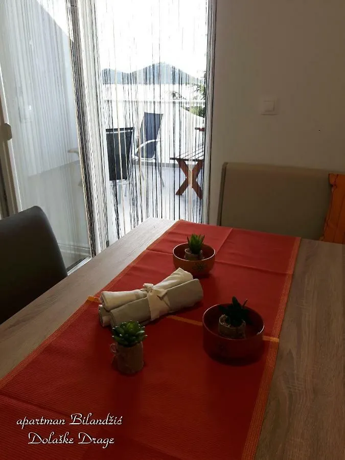 Apartment Apartman Bilandzic Drage Croatia