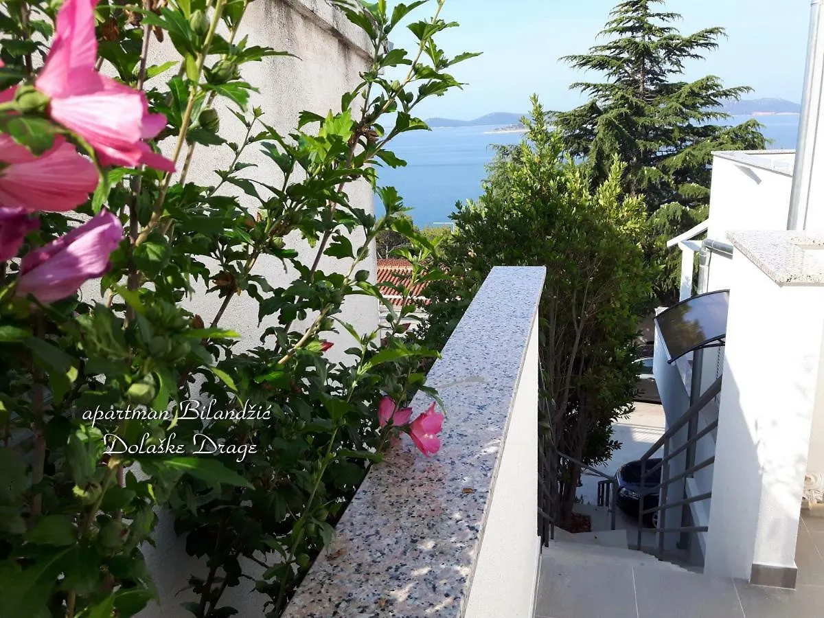 Apartment Apartman Bilandzic Drage Croatia