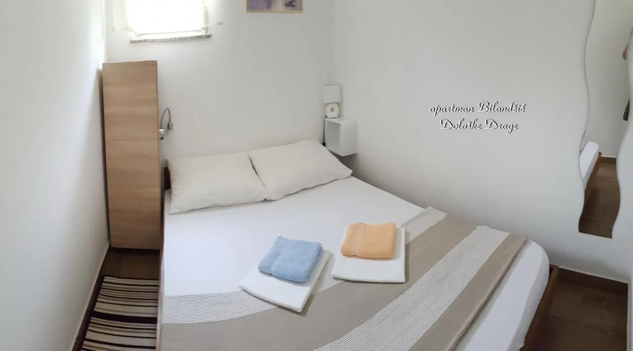 Apartment Apartman Bilandzic Drage